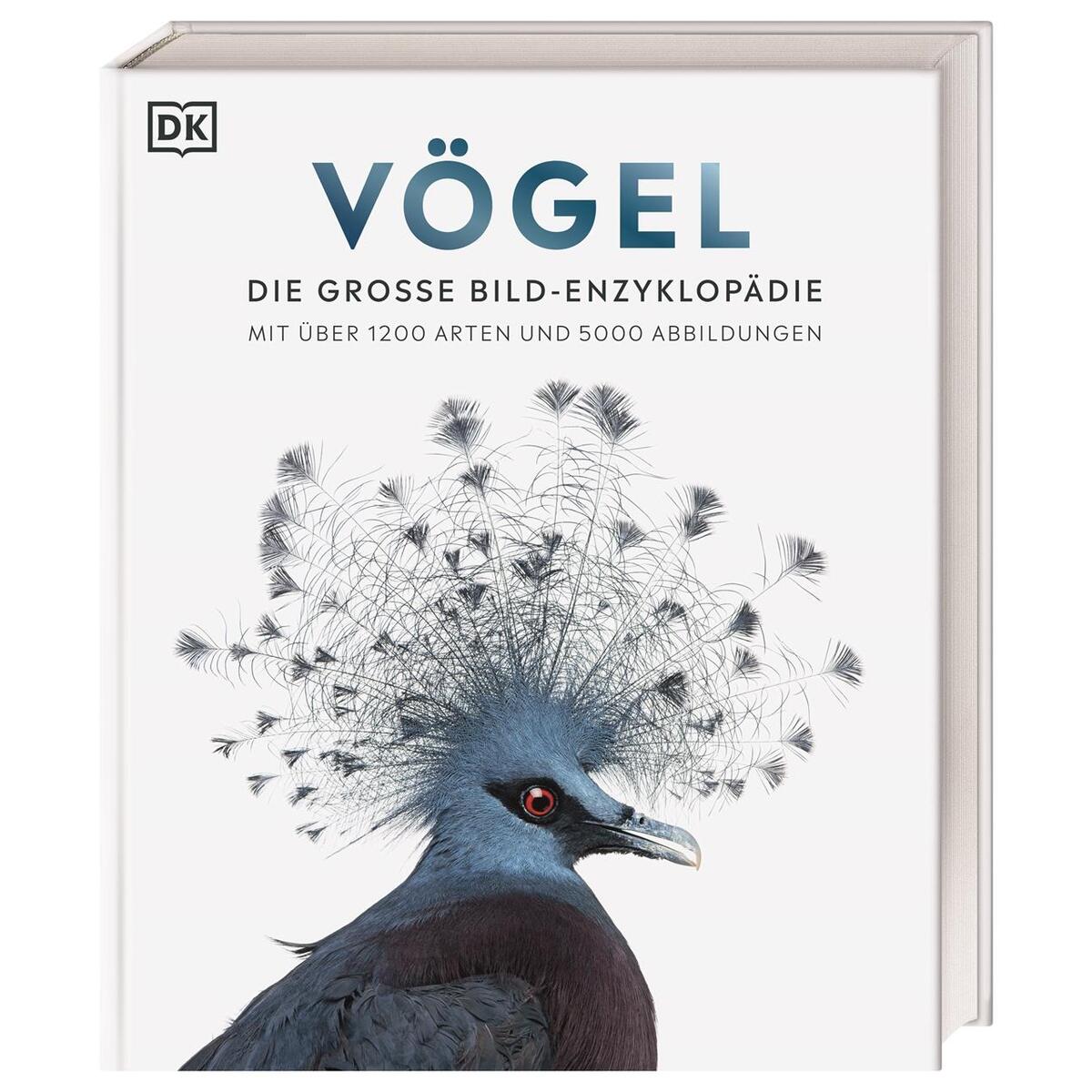 Vögel von Dorling Kindersley Verlag