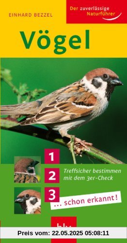 Vögel