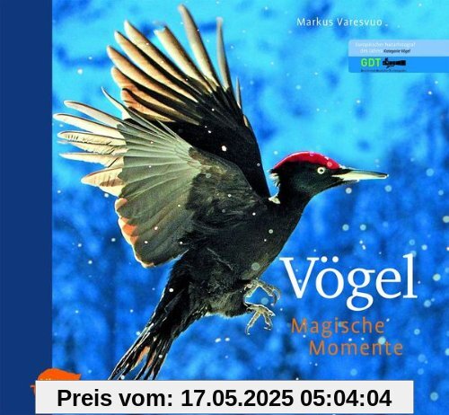 Vögel - Magische Momente