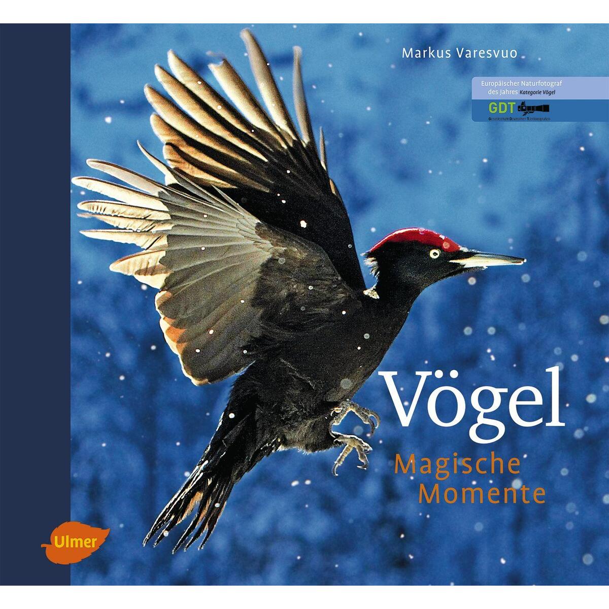 Vögel - Magische Momente Vögel - Magische Momente von Ulmer Eugen Verlag