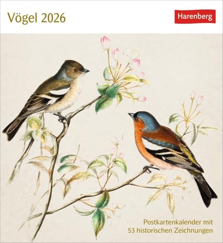 Vögel Postkartenkalender 2026 - Postkartenkalender mit 53 historischen Zeichnungen: Tischkalender mit Retro-Illustrationen. Schönes Geschenk für Kunst- und Naturliebhaber. 16 x 17,5 cm Vögel Postkartenkalender 2026 - Postkartenkalender mit 53 historischen Zeichnungen: Tischkalender mit Retro-Illustrationen. Schönes Geschenk für Kunst- und Naturliebhaber. 16 x 17,5 cm von Harenberg