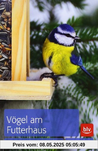 Vögel am Futterhaus: Erkennen und richtig füttern