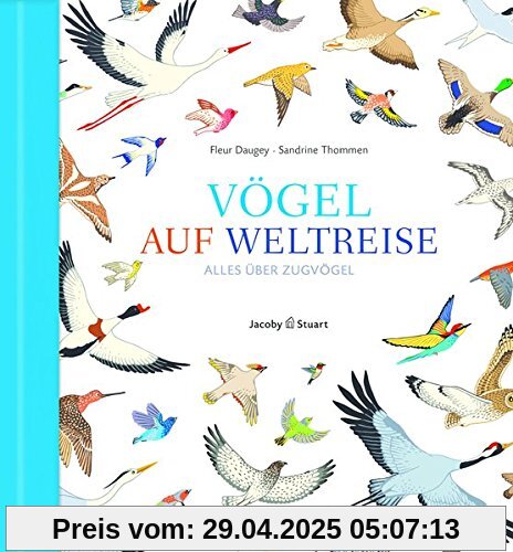 Vögel auf Weltreise: Alles über Zugvögel