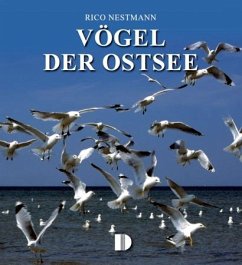 Vögel der Ostsee von Demmler-Verlag