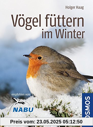 Vögel füttern im Winter