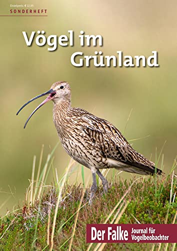 Vögel im Grünland von AULA