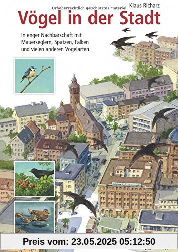 Vögel in der Stadt: In enger Nachbarschaft mit Mauerseglern, Spatzen, Falken und vielen anderen Vogelarten
