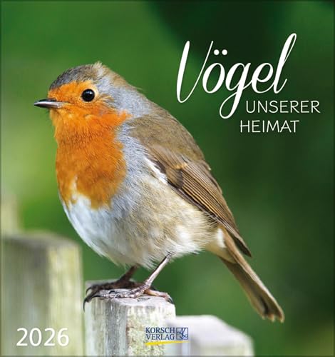 Vögel unserer Heimat 2026: Aufstellbarer Postkartenkalender mit Bildern von Vögeln in der Natur der Heimat. Tisch- und Wandkalender. von Korsch Verlag