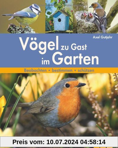 Vögel zu Gast im Garten: Beobachten - bestimmen - schützen