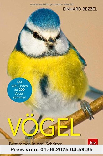 Vögel: Bestimmen in drei Schritten