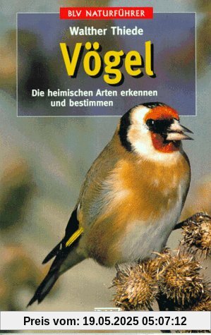 Vögel. Die heimischen Arten erkennen und bestimmen