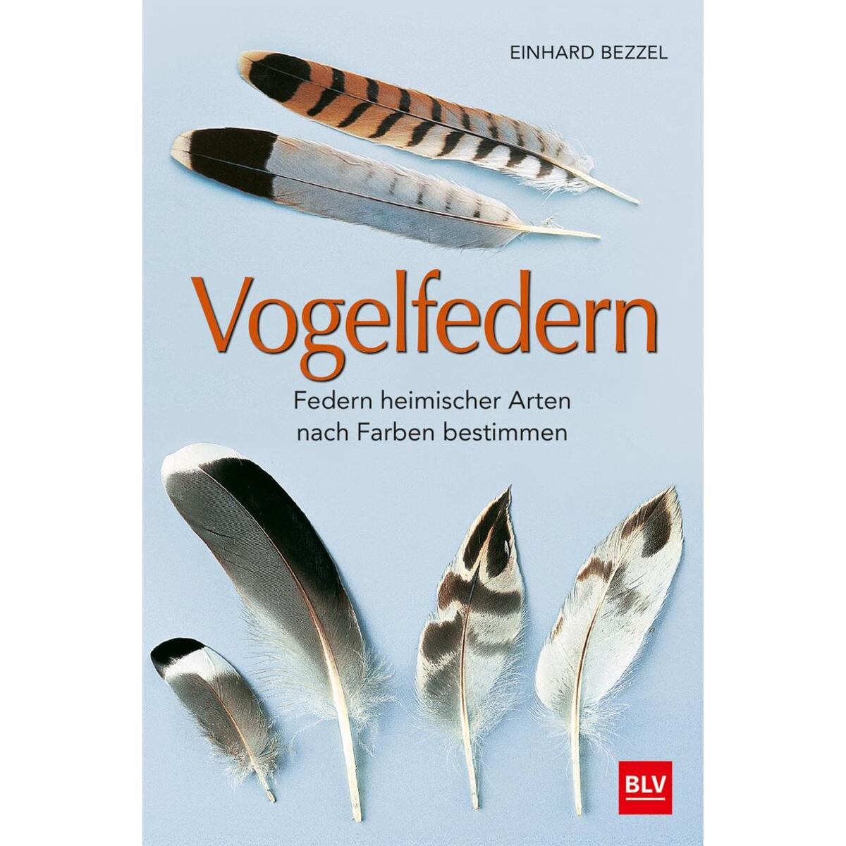 Vogelfedern von BLV Buchverlag