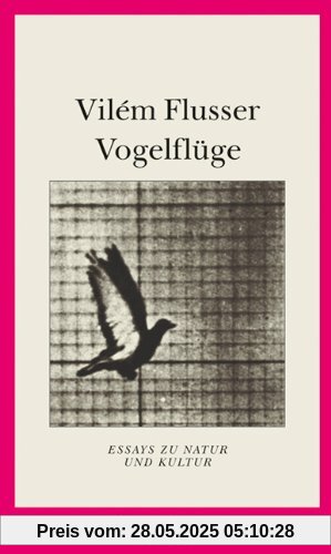 Vogelflüge