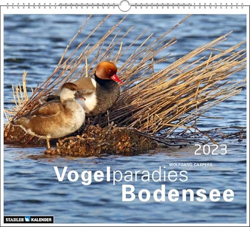 Vogelparadies Bodensee 2023 von Stadler Kalenderverlag