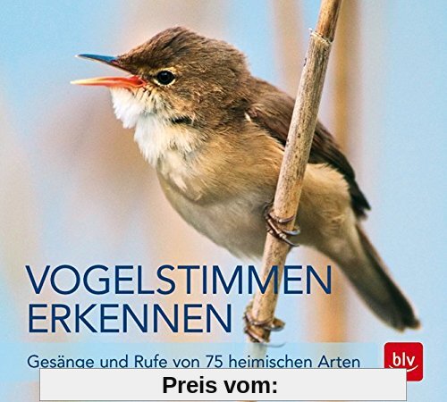 Vogelstimmen erkennen / CD: Gesänge und Rufe von 75 heimischen Arten