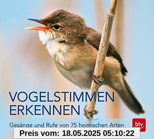 Vogelstimmen erkennen / CD: Gesänge und Rufe von 75 heimischen Arten