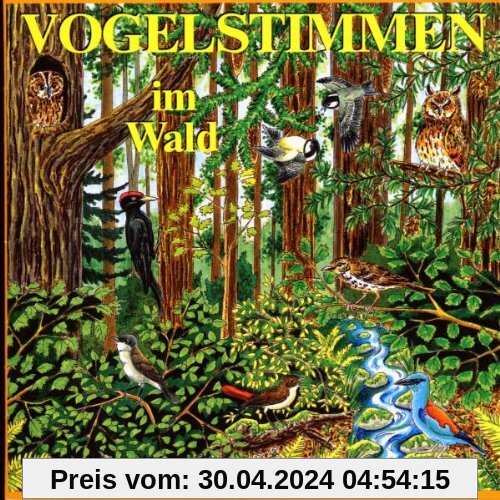 Vogelstimmen im Wald, Ed.4, 1 Audio-CD