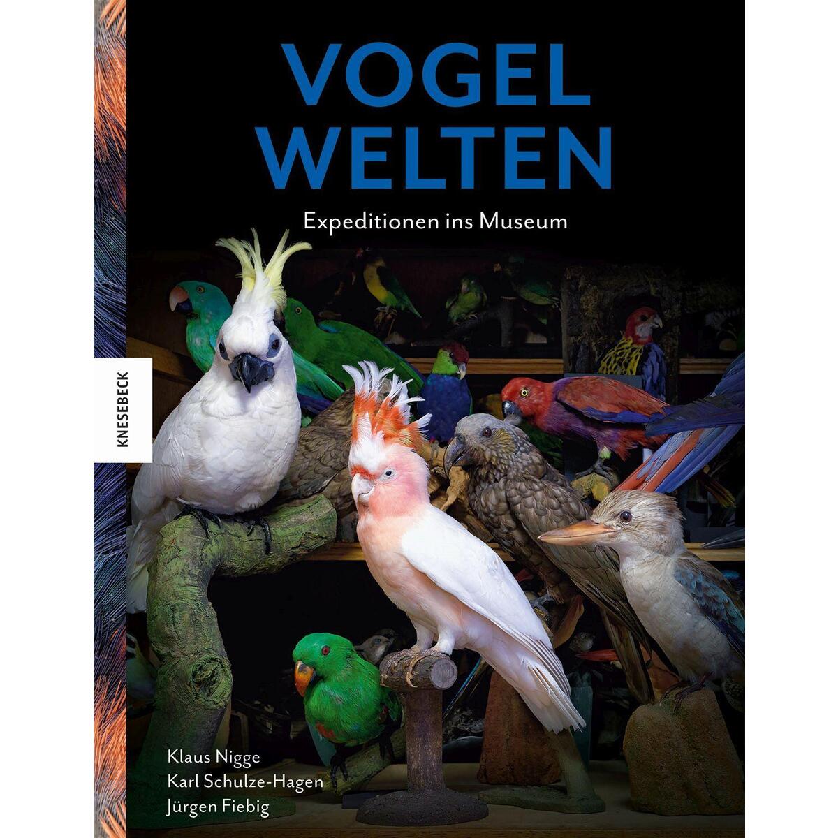 Vogelwelten von Knesebeck Von Dem GmbH