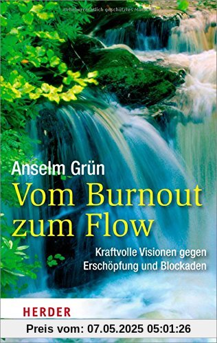 Vom Burnout zum Flow (HERDER spektrum)