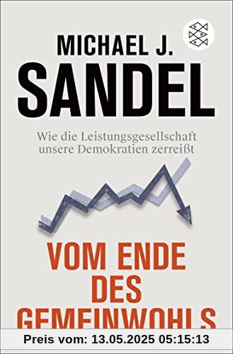 Vom Ende des Gemeinwohls: Wie die Leistungsgesellschaft unsere Demokratien zerreißt Vom Ende des Gemeinwohls: Wie die Leistungsgesellschaft unsere Demokratien zerreißt
