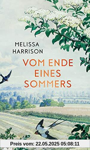Vom Ende eines Sommers: Roman