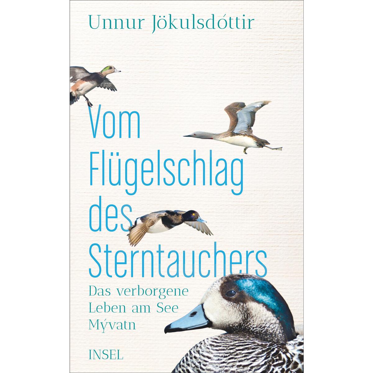 Vom Flügelschlag des Sterntauchers von Insel Verlag GmbH