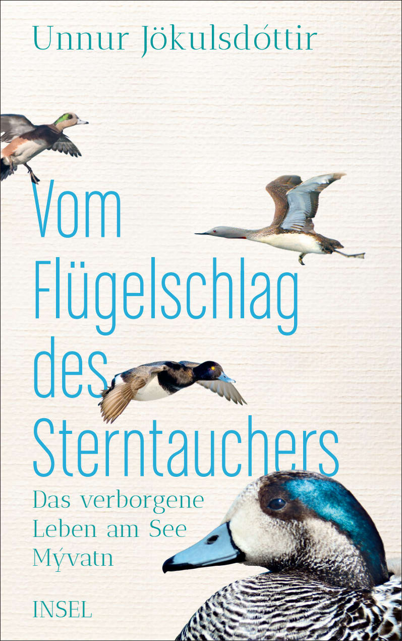 Vom Flügelschlag des Sterntauchers von Insel Verlag