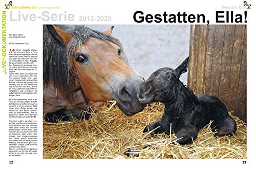Vom Fohlen zum Arbeits- und Freizeitpferd - am Beispiel der Kaltblutstute Ella: Ein praktisches Handbuch über Aufzucht, Haltung, Fütterung und Ausbildung nicht nur von Kaltblutpferden Vom Fohlen zum Arbeits- und Freizeitpferd - am Beispiel der Kaltblutstute Ella: Ein praktisches Handbuch über Aufzucht, Haltung, Fütterung und Ausbildung nicht nur von Kaltblutpferden