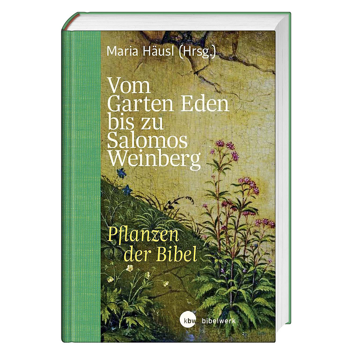 Vom Garten Eden bis zu Salomos Weinberg von Katholisches Bibelwerk