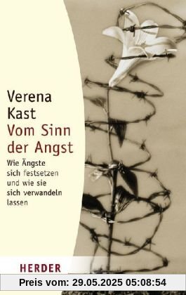 Vom Sinn der Angst: Wie Ängste sich festsetzen und wie sie sich verwandeln lassen (HERDER spektrum)