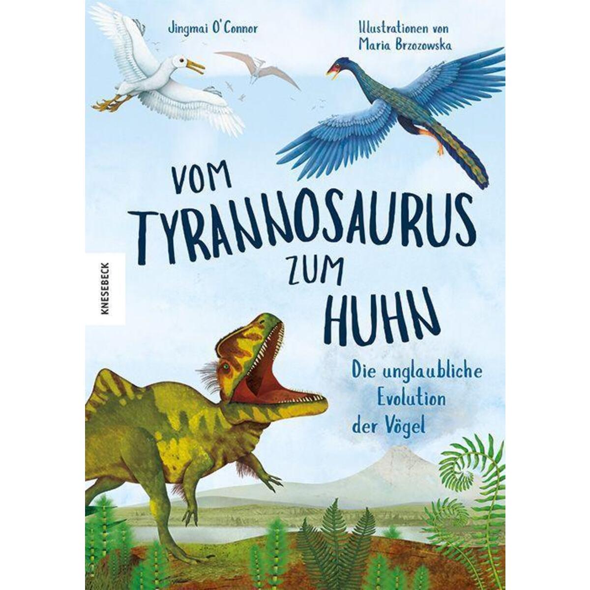 Vom Tyrannosaurus zum Huhn von Knesebeck Von Dem GmbH