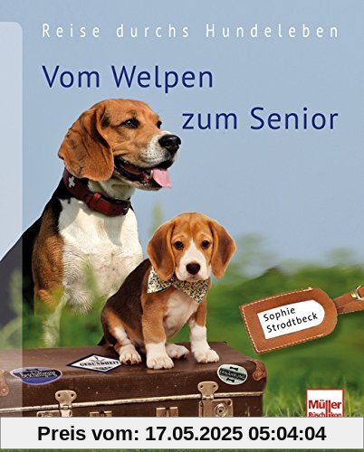 Vom Welpen zum Senior: Reise durchs Hundeleben