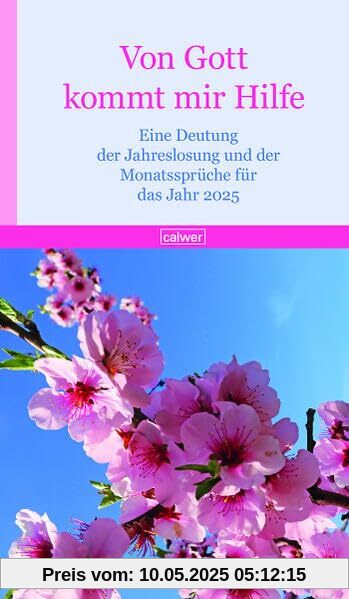 Von Gott kommt mir Hilfe 2025: Eine Deutung der Jahreslosung und der Monatssprüche für das Jahr 2025