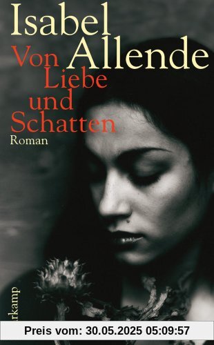 Von Liebe und Schatten: Roman (suhrkamp taschenbuch)