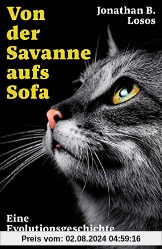 Von der Savanne aufs Sofa: Eine Evolutionsgeschichte der Katze