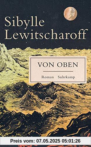 Von oben: Roman (suhrkamp taschenbuch)