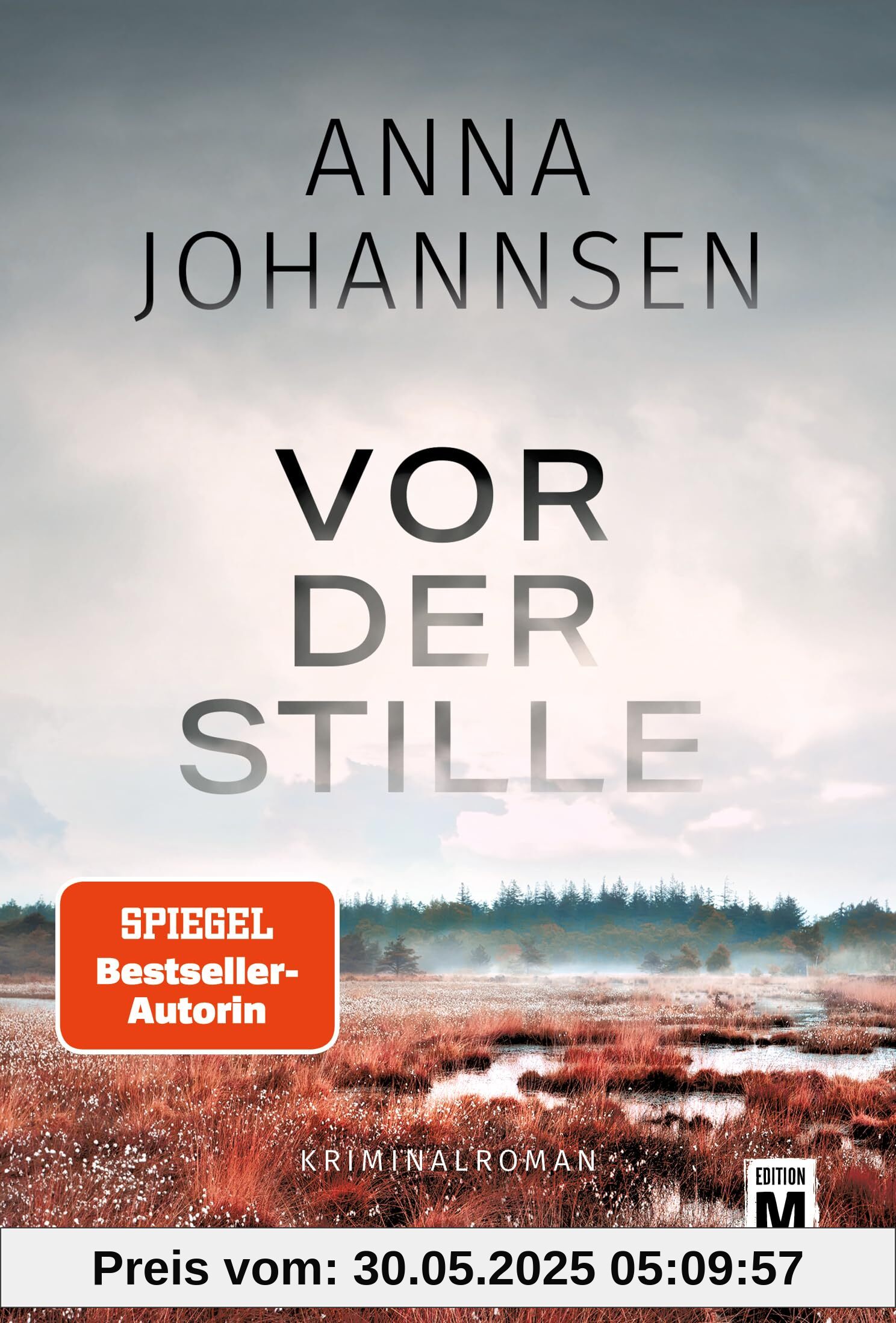 Vor der Stille (Ein Fall für Hanna Will & Jan de Bruyn, Band 3)