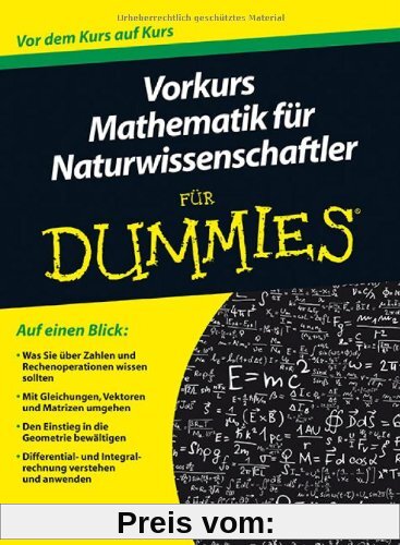 Vorkurs Mathematik für Naturwissenschaftler für Dummies (Fur Dummies)