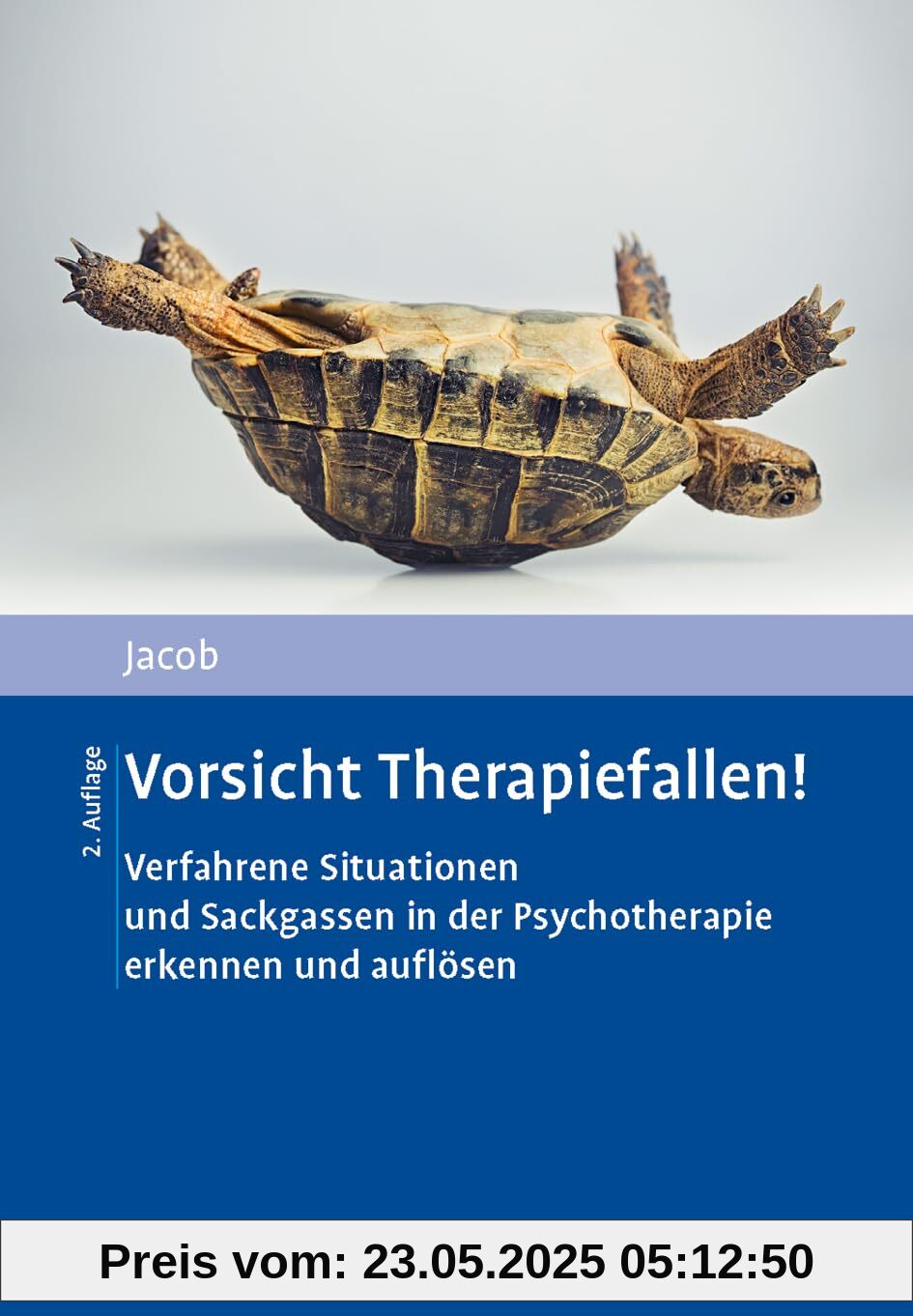 Vorsicht Therapiefallen!: Verfahrene Situationen und Sackgassen in der Psychotherapie erkennen und auflösen
