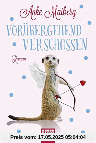 Vorübergehend verschossen: Roman