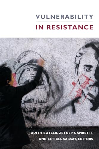Vulnerability in Resistance von Combined Academic Publ.