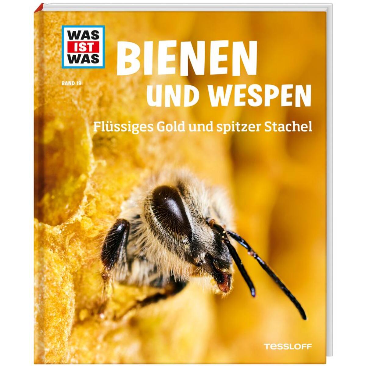 WAS IST WAS Band 19 Bienen und Wespen. Flüssiges Gold und spitzer Stachel von Tessloff Verlag