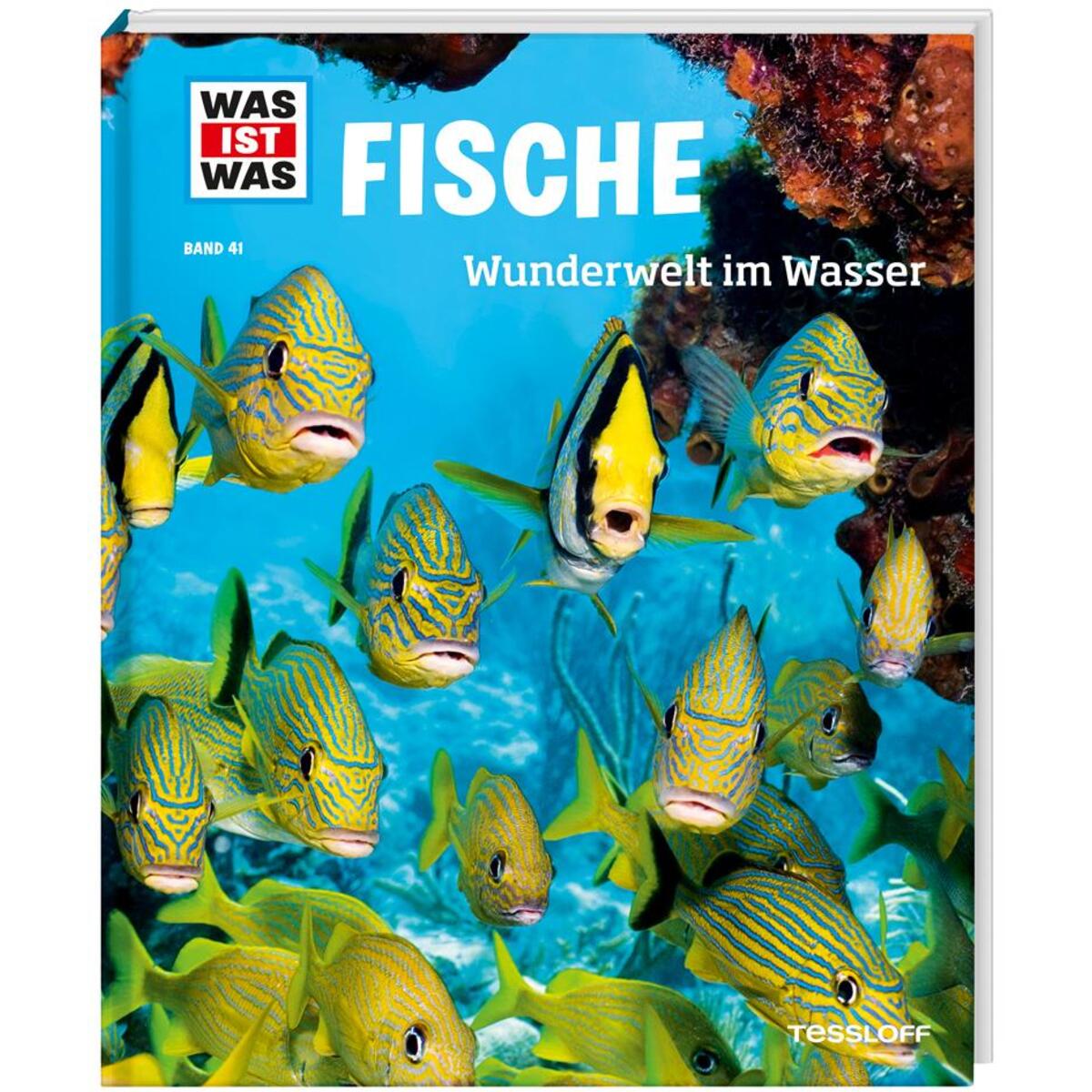 WAS IST WAS Band 41 Fische. Wunderwelt im Wasser von Tessloff Verlag