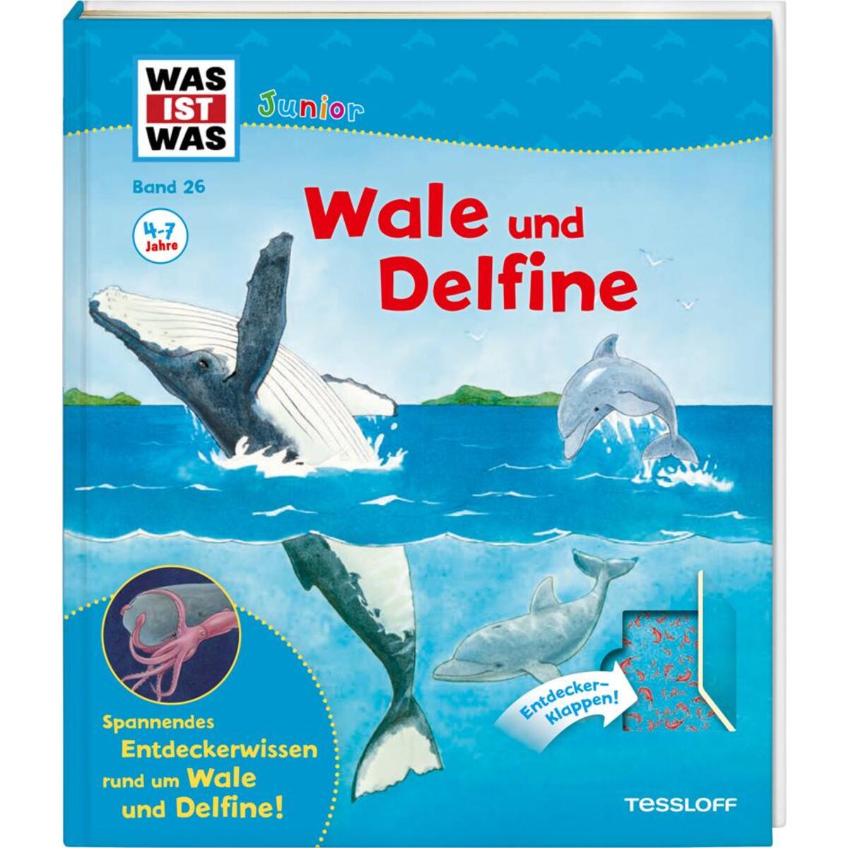 WAS IST WAS Junior 26. Wale und Delfine WAS IST WAS Junior 26. Wale und Delfine von Tessloff Verlag