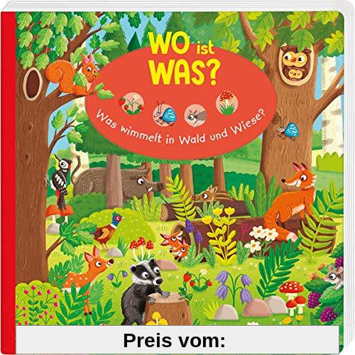 WO ist WAS? Was wimmelt in Wald und Wiese?: Pappebuch für Kinder ab 18 Monaten (Bilderbuch ab 18 Monate)
