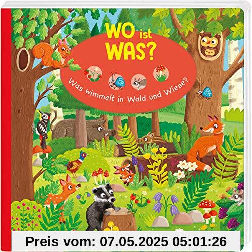 WO ist WAS? Was wimmelt in Wald und Wiese?: Pappebuch für Kinder ab 18 Monaten (Bilderbuch ab 18 Monate)