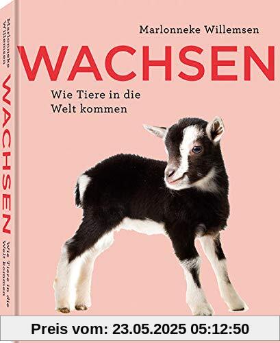 Wachsen: Wie Tiere in die Welt kommen