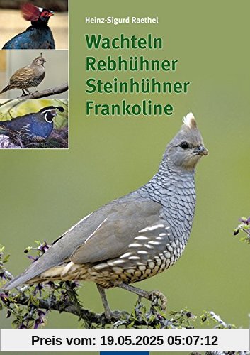 Wachteln, Rebhühner, Steinhühner, Frankoline