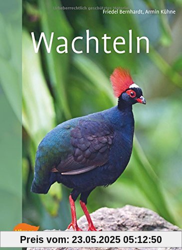 Wachteln