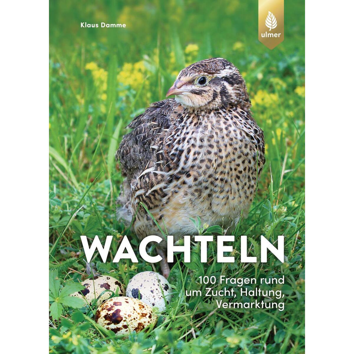 Wachteln Wachteln von Ulmer Eugen Verlag